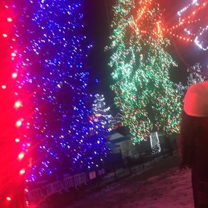 Meet your Posher, Paige